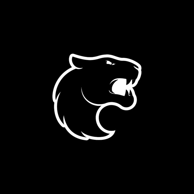 Аватар канала FURIA