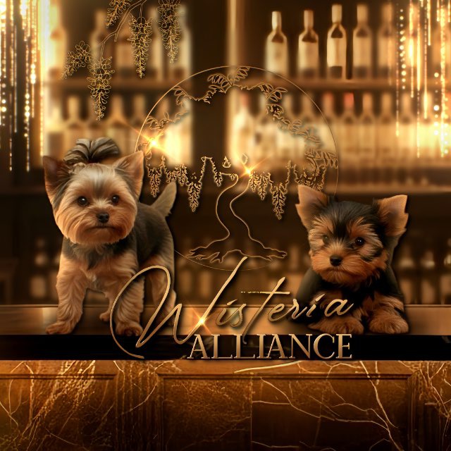 Аватар канала Wisteria Alliance