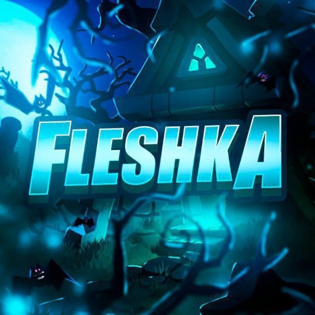 Аватар канала Fleshka GG