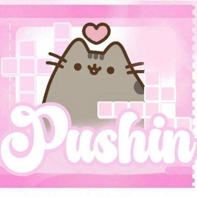 Аватар канала PUSHINS