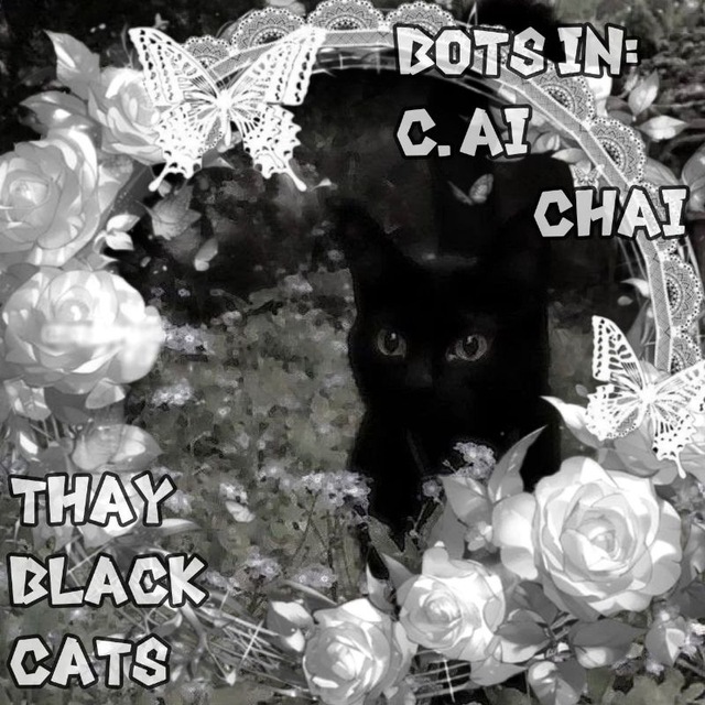 Аватар канала 𝒮𝓉𝓇𝒶𝓎 𝒷𝓁𝒶𝒸𝓀 𝒸𝒶𝓉𝓈.🐾
