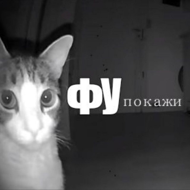 Аватар канала Я ПАЛИТРА