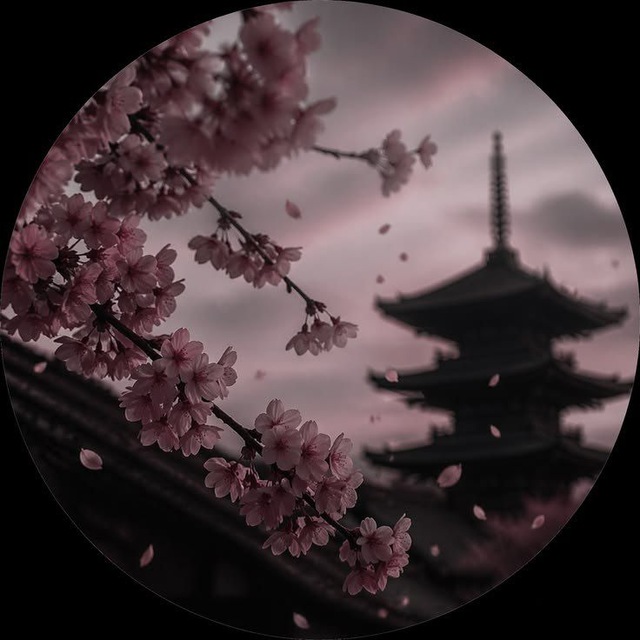 Аватар канала 𝐸𝑆𝑇𝐴𝑇𝐸 𝐼𝑁𝐹𝑂