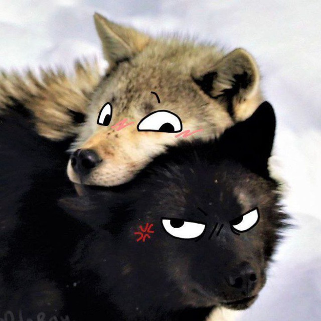 Аватар канала Bad Furry Yiff