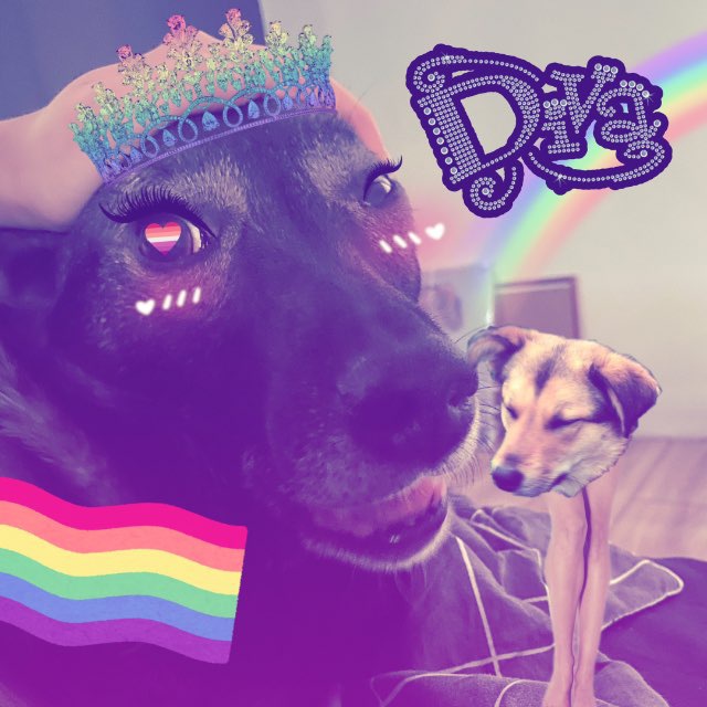 Аватар канала 🐶 отзы саюмы