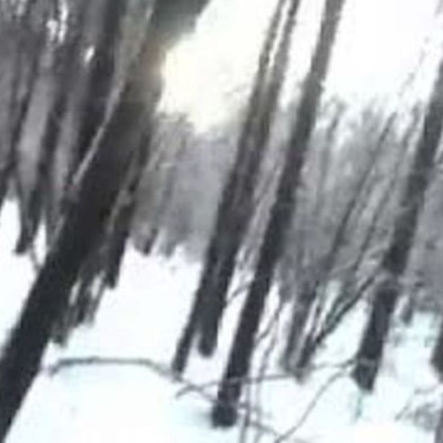 Аватар канала репа @KillsAnon