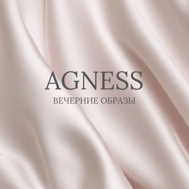 Аватар канала AGNESS