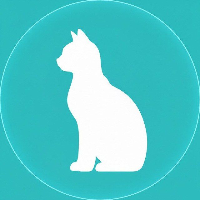 Wogy VPN