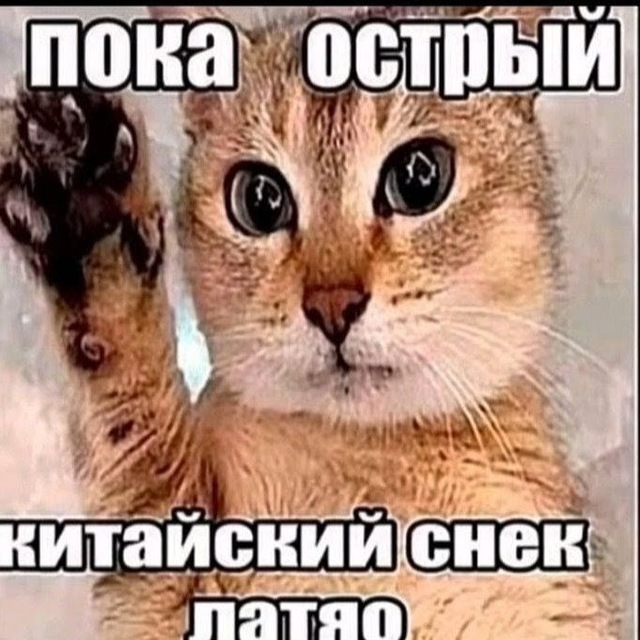 Аватар канала Comission ubludok