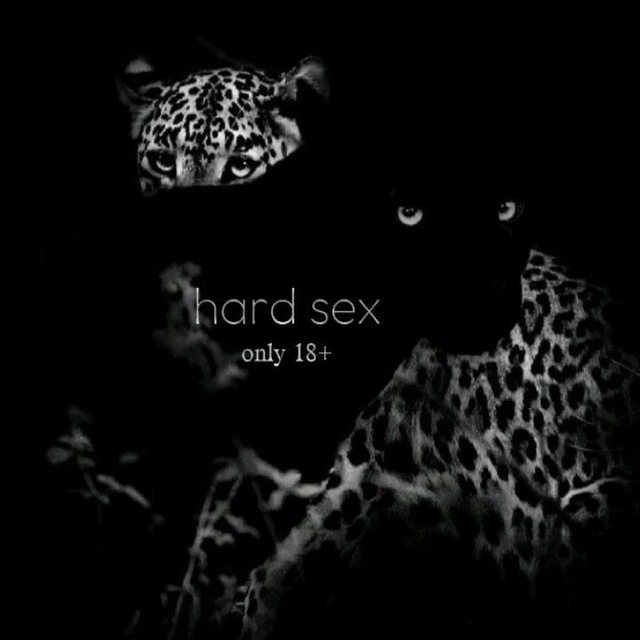 Аватар канала hard sex.