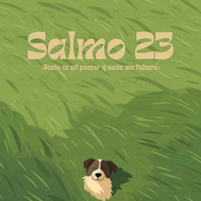 Аватар канала HIJA DE DIOS🤍🌻