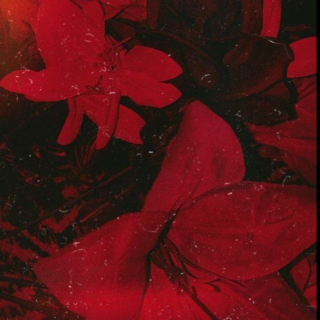 Аватар канала (АРХИВ)🍷Kess life and other🥀