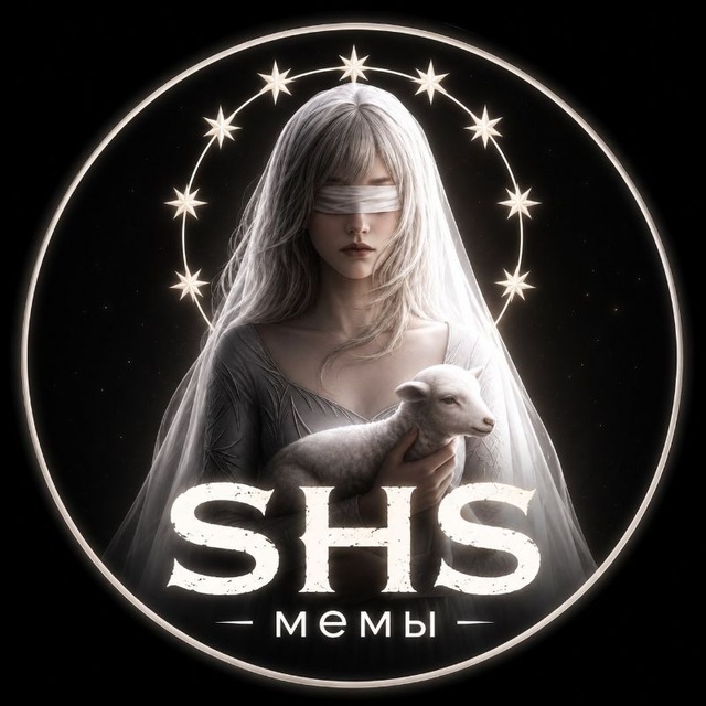 Аватар канала SHS мемы