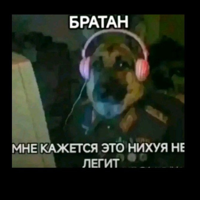 Аватар канала Отзывы salsa