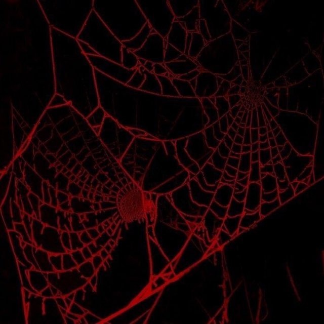 Аватар канала 🕸️Liminarium🕸️ info