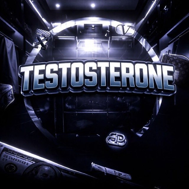 Аватар канала TESTOSTERONE NAVIGATION