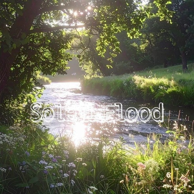 Аватар канала Soleil flood