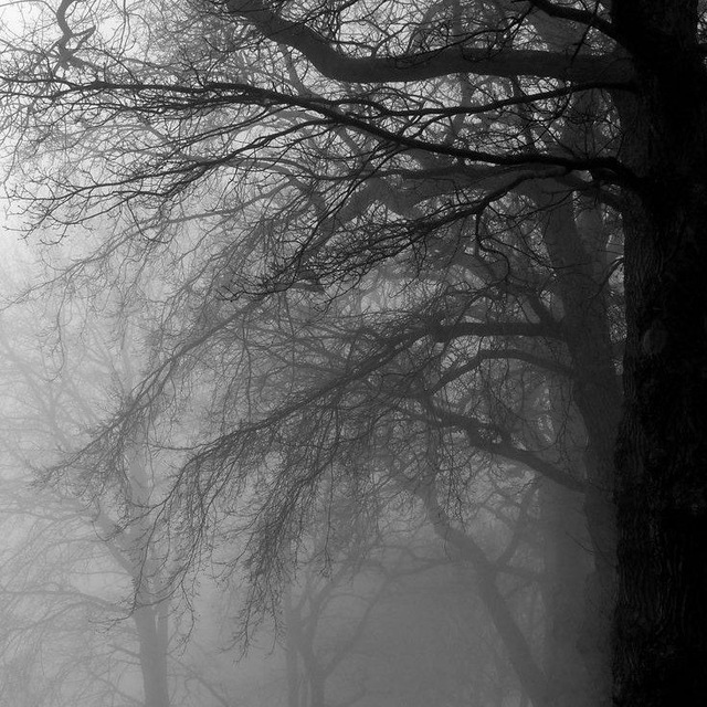 Аватар канала ︵︵ 🌫 ࣪ 𝅗𝅥 𝆭 ִ ױ ˙