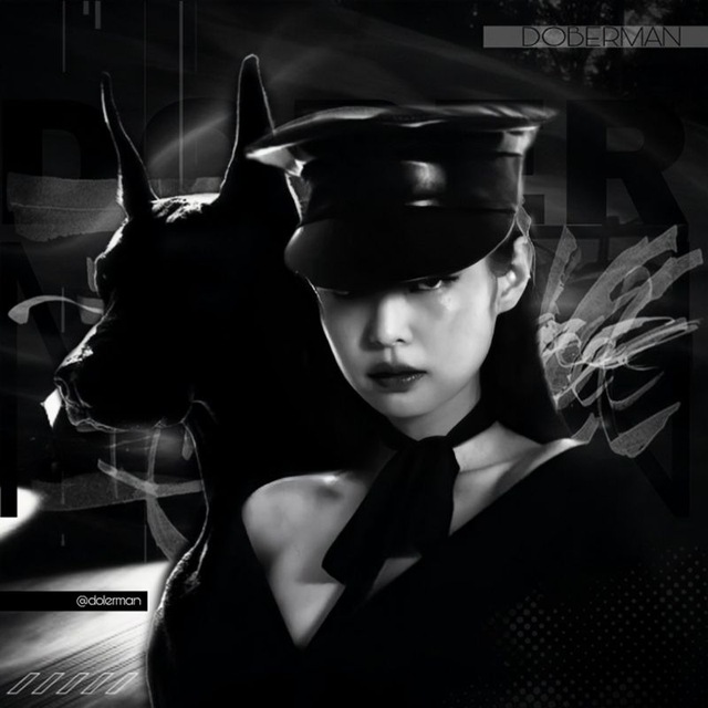 Аватар канала DOBERMAN