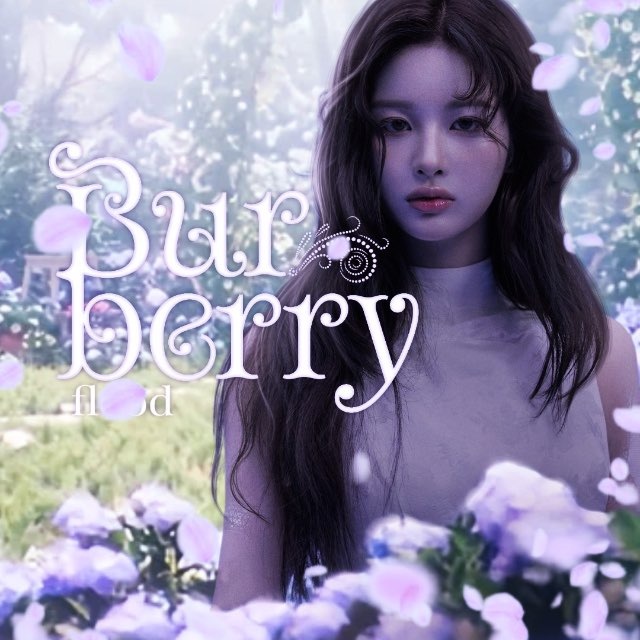 Союзы Burberry