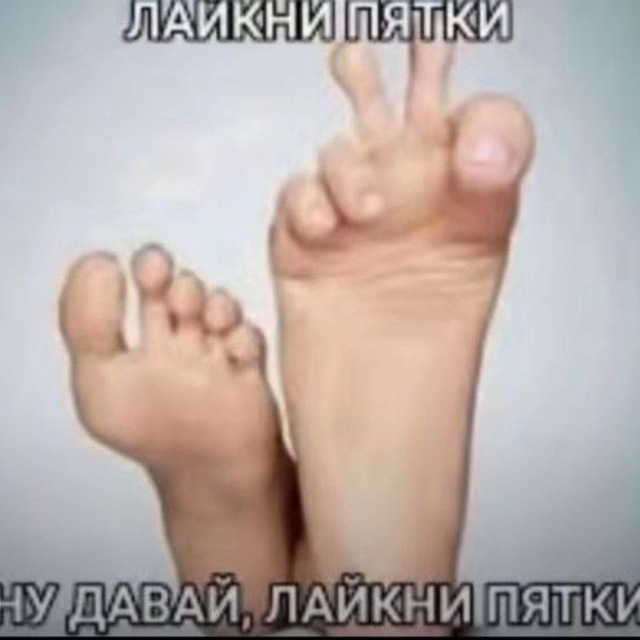 Аватар канала кпкф переходникккккк